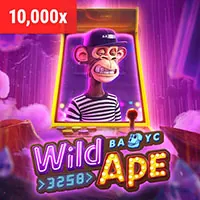 Hỗ trợ VIP 24/7